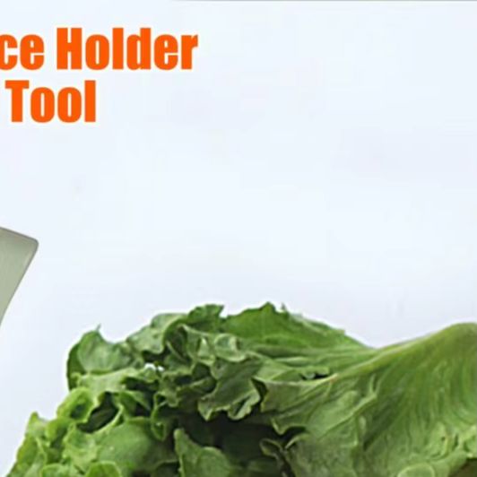 Onion Holder Slicer - 野菜スライスツール 玉ねぎスライサーホルダー 10本のステンレス鋼製プロング付き 滑り止め野菜カッターツール 玉ねぎ用耐久性のあるツール